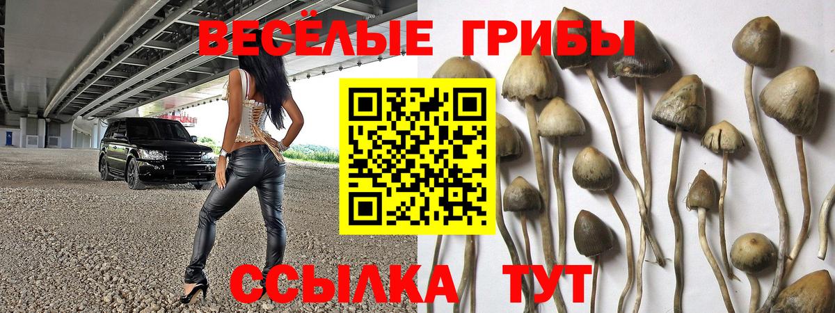 Псилоцибиновые грибы ЛСД Лабытнанги