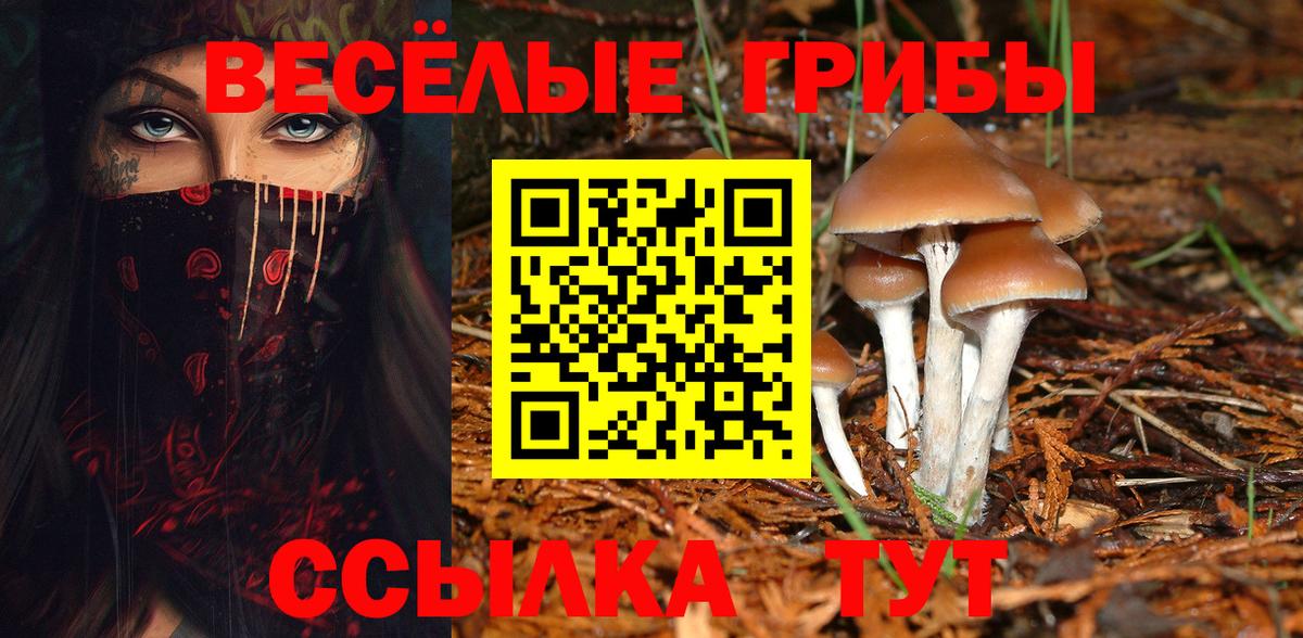 Лабытнанги  Галлюциногенные грибы ЛСД  Вход с VPN  Галлюциногенные грибы мицелий 